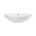 Раковина Dove накладна овальна без донного клапана White Qtap