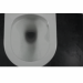 Унітаз Tern підвісний Ultra Quiet 490x340x350mm з сидінням Slim Duroplast/ Soft-close/ Quick relase WHITE Qtap